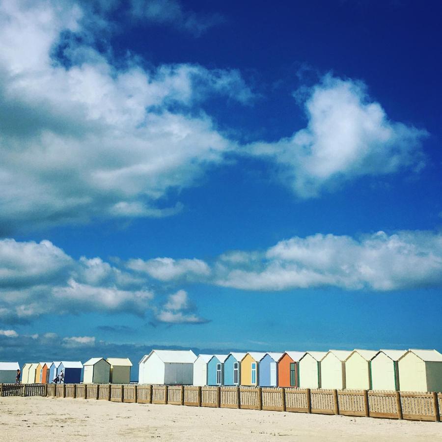 La Petite Boutique Bleue Daire Cayeux-sur-Mer Dış mekan fotoğraf